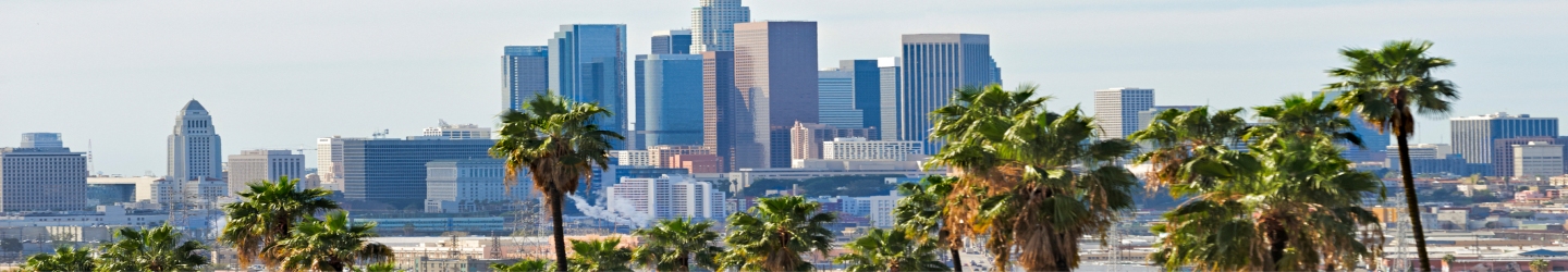 LA skyline with palm trees.